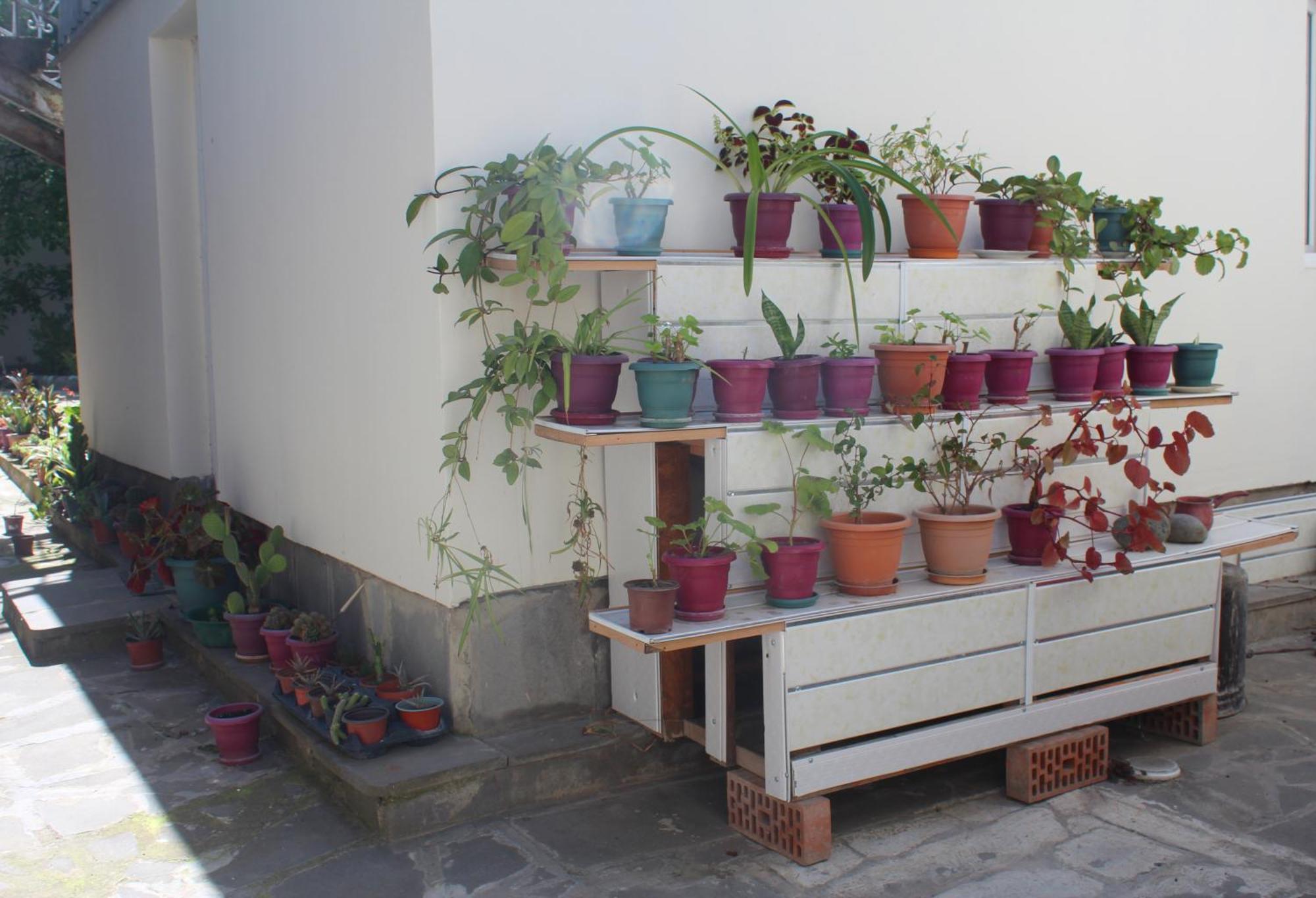 Guesthouse Levani Γκόρι Εξωτερικό φωτογραφία